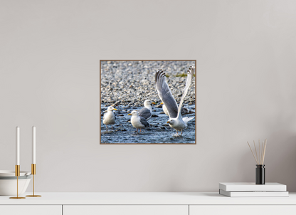 Wings in Motion – Seagulls on the Kasilof River, Alaska Nature Photography Print