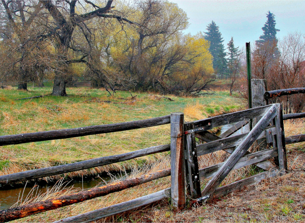 Pasture Gate:  Wooden fence in a rural landscape with trees and grass.