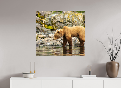 Looking for Dinner Nature Photography Print