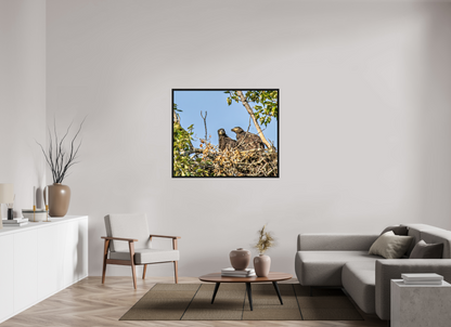 Nestmates – Young Eagles in a Woodland Home – Nature Photography Print