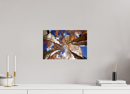 Reaching for the Sky – Where Aspens Whisper to the Clouds Nature Photography Print