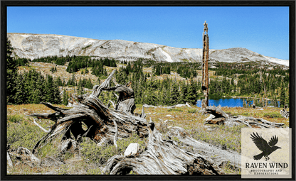 Scenic view of a mountain landscape with fallen trees and a clear blue sky.