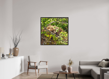 Hide and Peek Nature Photography Print