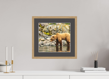 Looking for Dinner Nature Photography Print
