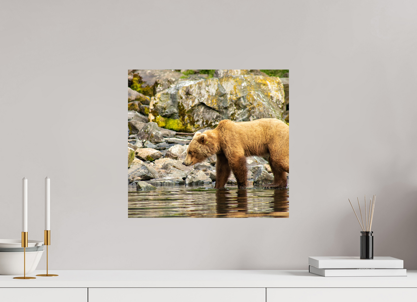 Looking for Dinner Nature Photography Print