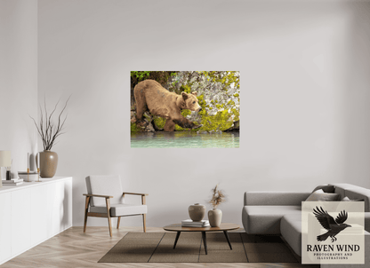61.1 x 43″, Photo Print Under Acrylic Glass - ready to hang Momma on a Mission Nature Photography Print
