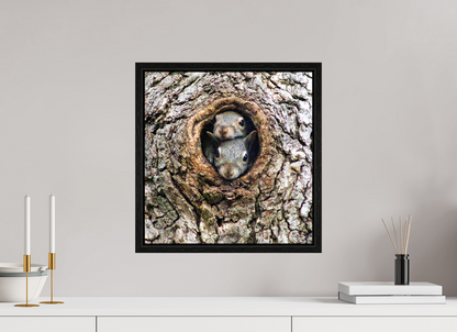 Curious Peek Nature Photography Print