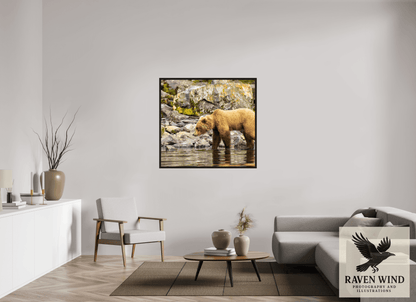 46.6 x 43″, Floater Frame - black oak frame - ready to hang Looking for Dinner Nature Photography Print