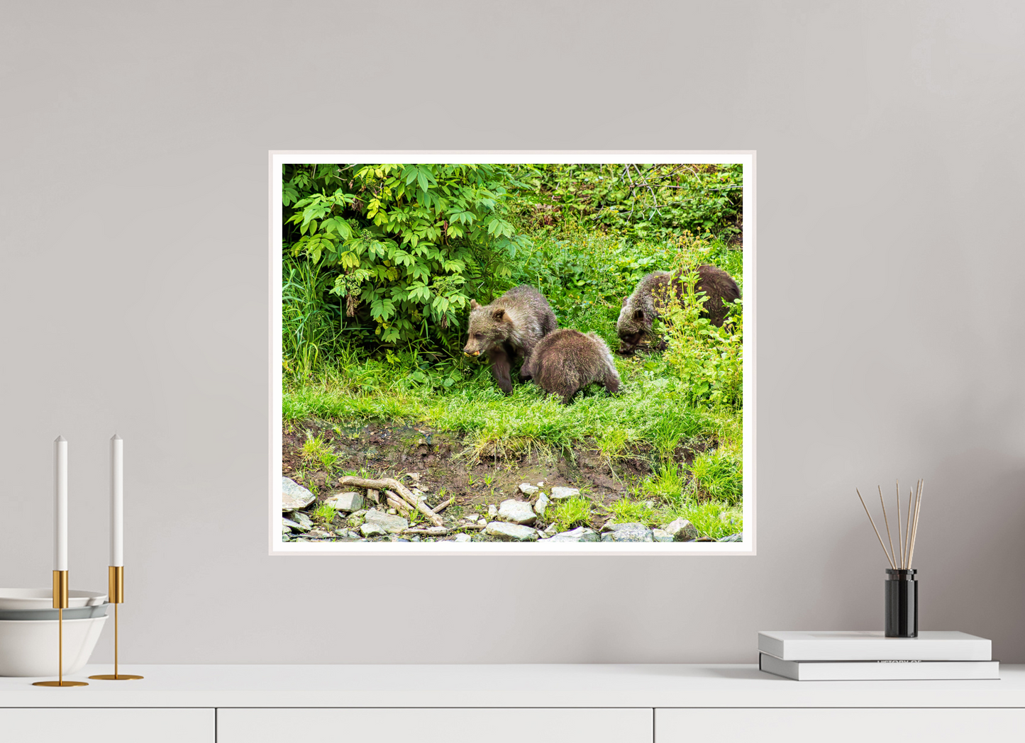 Brown Bear Triplets