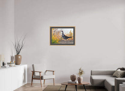 Grounded Grace – Fine Art Print of a Wild Grouse