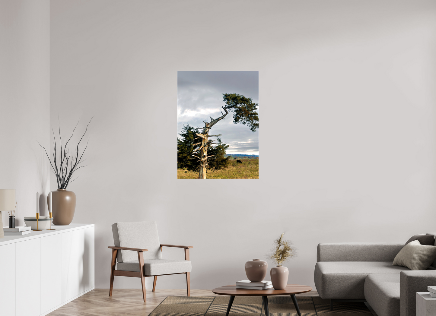 30 x 40″, Print on Canvas - ready to hang or set on a shelf The Cedar That Weathered It All Nature Photography Print