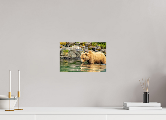 Wild Focus Nature Photography Print