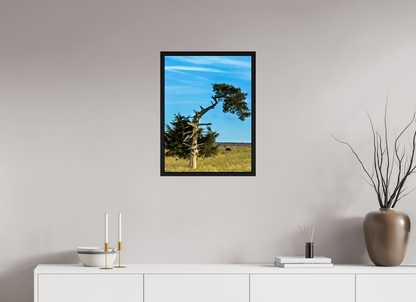 18 x 24″, Floater Frame with black oak frame - ready to hang Still Standing and Reaching for the Sky Nature Photography Print