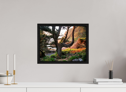 Sunset Glow Fine Art Nature Photography Print