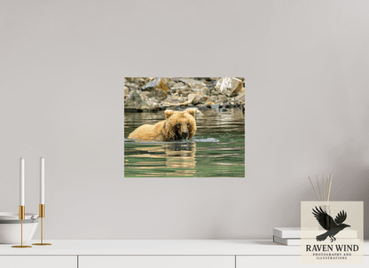 14.5 x 12″, ChromaLuxe HD Metal Print - ready to hang Fishing the Deep End Nature Photography Print