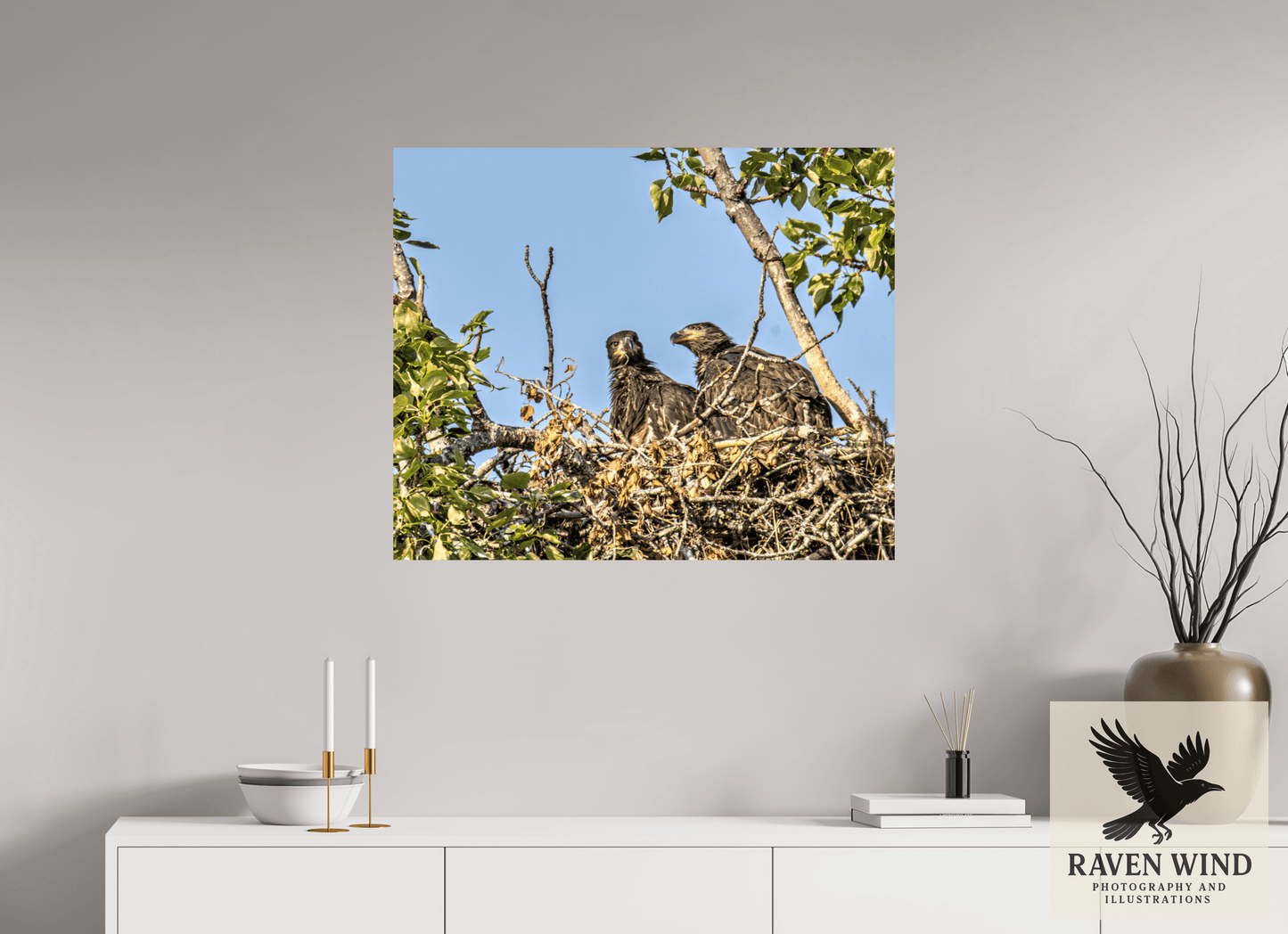34 x 28″, Fine Art Print on Photo Rag Baryta - unframed (email for frame options) Nestmates - Young Eagles in a Woodland Home Nature Photography Print