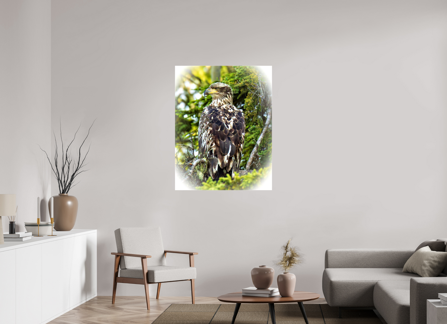 Forest Watch – Young Eagle Among the Pines Nature Photography Print