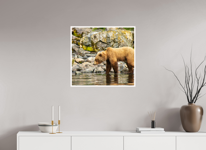 Looking for Dinner Nature Photography Print
