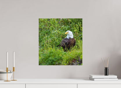 Grounded Majesty – Bald Eagle in Alaska’s Wilderness Nature Photography Print