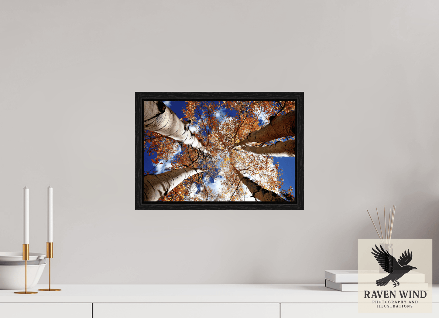 15 x 10″, Floater Frame - black oak frame - ready to hang Reaching for the Sky - Aspens in the Fall Nature Photography Print