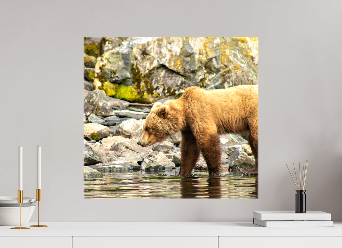 Looking for Dinner Nature Photography Print