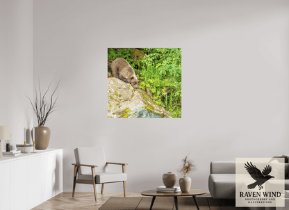 41.3 x 39″, Print on Canvas - ready to hang or set on a shelf Learning the Ropes Nature Photography Print