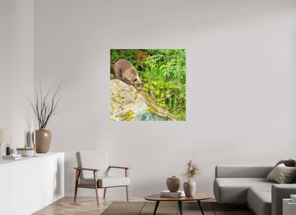 Learning the Ropes Nature Photography Print