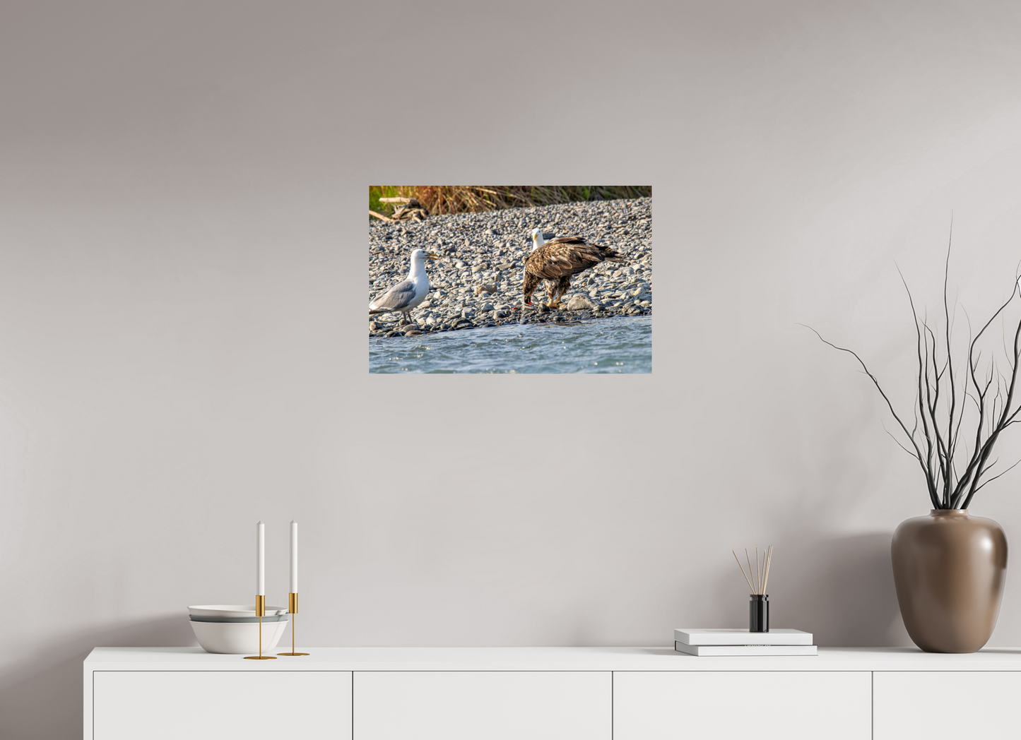 Mine? Mine? – Bald Eagle and Seagull Shoreline Standoff Nature Photography Print