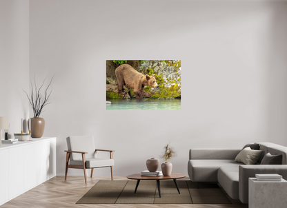 Testing the Waters Nature Photography Print