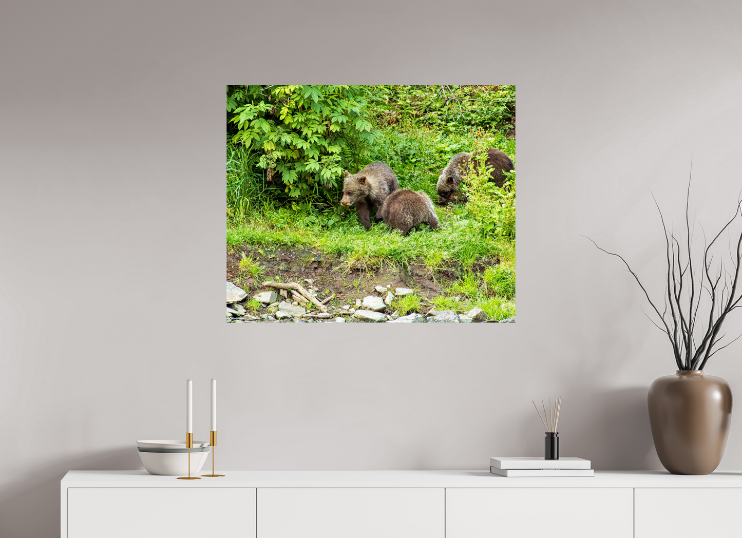 Brown Bear Triplets