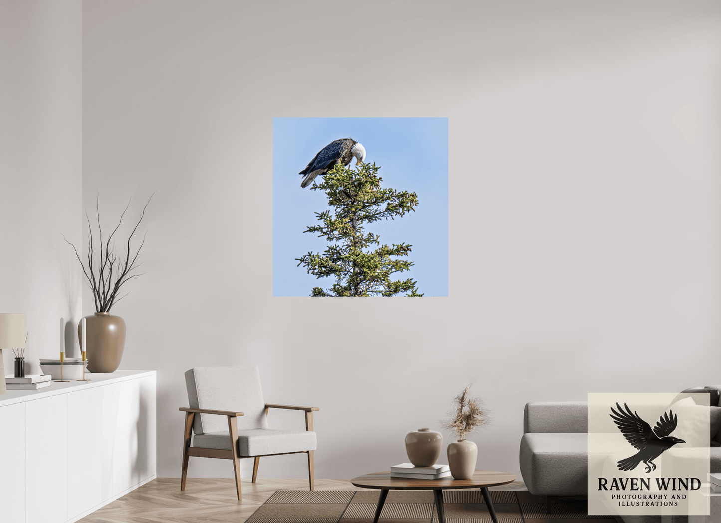 40 x 40.9″, Fine Art Print on Photo Rag Baryta - unframed (email for frame options) Silent Sentinel - Bald Eagle in Alaska's Pines Nature Photography Print