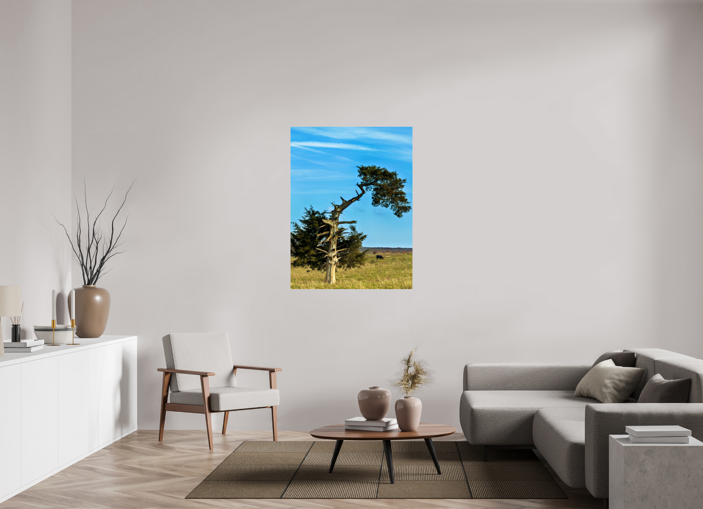 Still Standing – The Cedar That Reached for the Sky