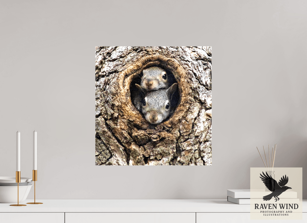 Raven Wind Photography & Illustrations-Curious Peek Fine Art Wildlife Photography Print -
