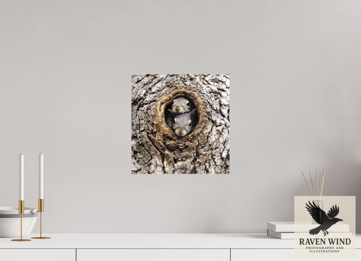 Raven Wind Photography & Illustrations-Curious Peek Fine Art Wildlife Photography Print -