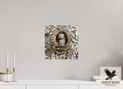 Raven Wind Photography & Illustrations-Curious Peek Fine Art Wildlife Photography Print -