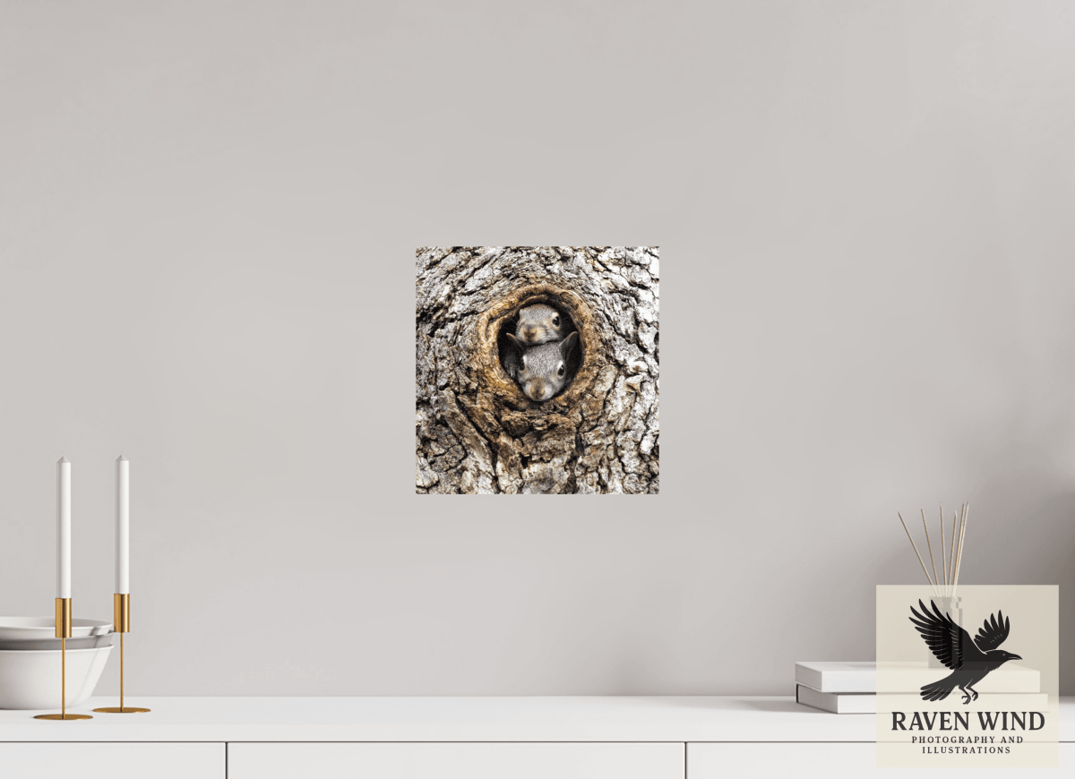 Raven Wind Photography & Illustrations-Curious Peek Fine Art Wildlife Photography Print -