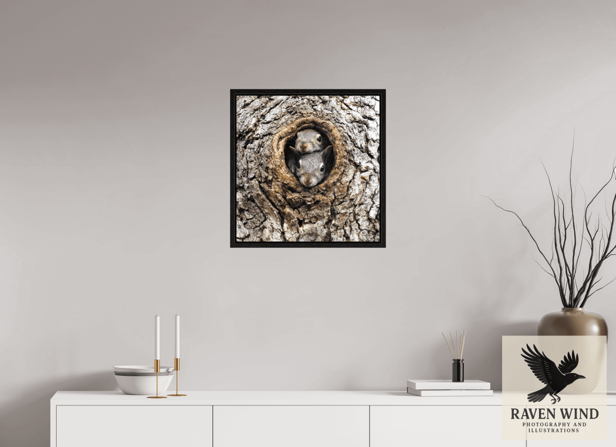 Raven Wind Photography & Illustrations-Curious Peek Fine Art Wildlife Photography Print -