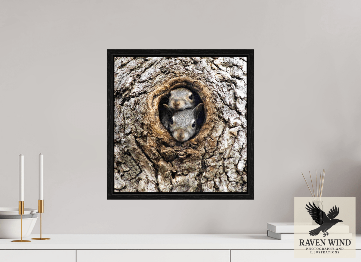 Raven Wind Photography & Illustrations-Curious Peek Fine Art Wildlife Photography Print -