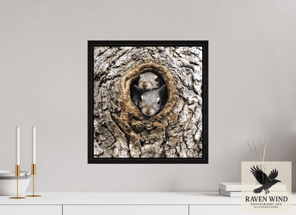Raven Wind Photography & Illustrations-Curious Peek Fine Art Wildlife Photography Print -