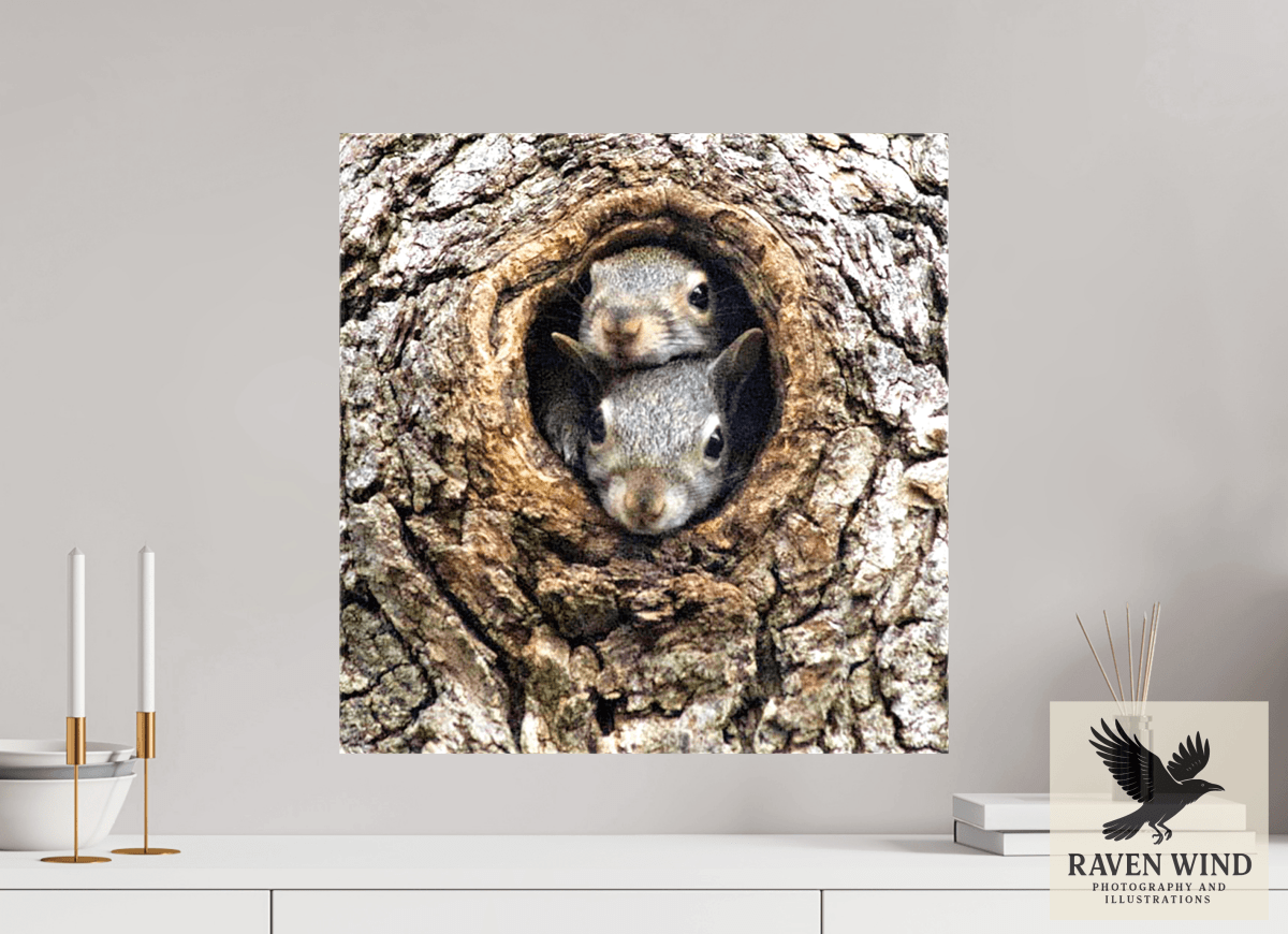 Raven Wind Photography & Illustrations-Curious Peek Fine Art Wildlife Photography Print -