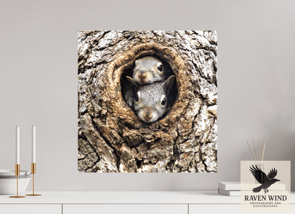 Raven Wind Photography & Illustrations-Curious Peek Fine Art Wildlife Photography Print -