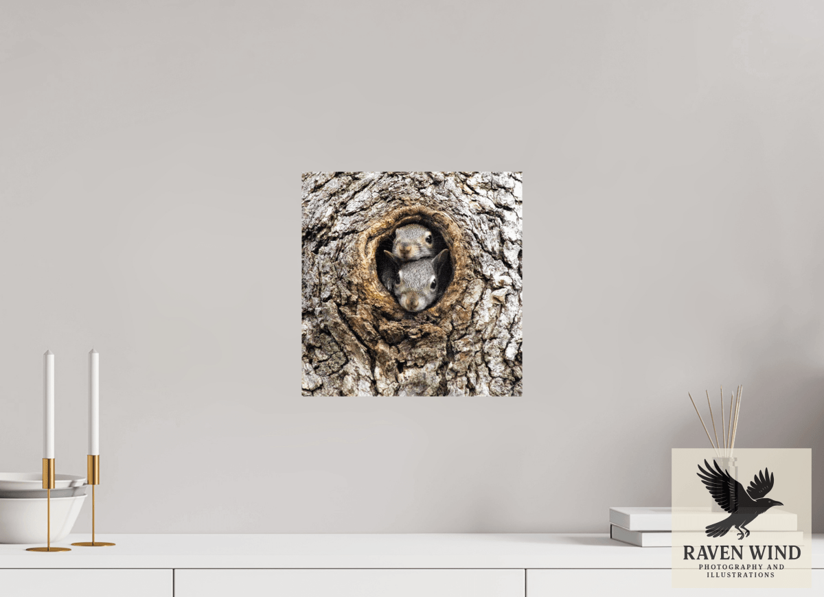 Raven Wind Photography & Illustrations-Curious Peek Fine Art Wildlife Photography Print -