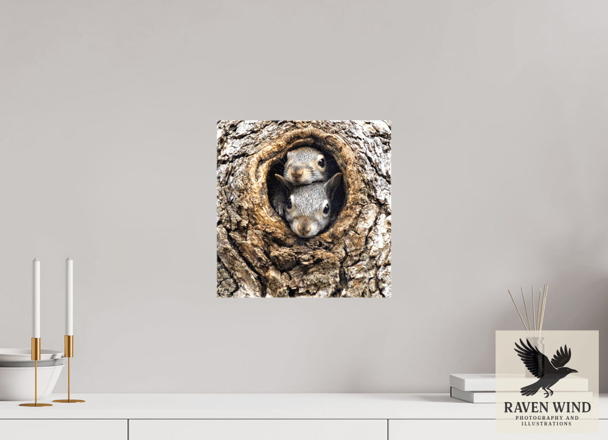 Raven Wind Photography & Illustrations-Curious Peek Fine Art Wildlife Photography Print -