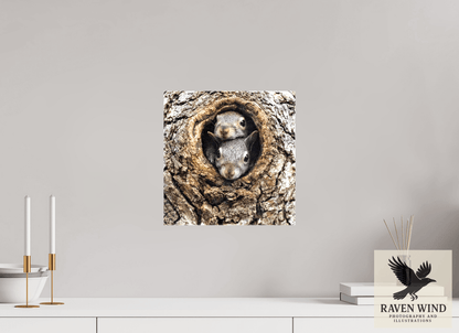 Raven Wind Photography & Illustrations-Curious Peek Fine Art Wildlife Photography Print -