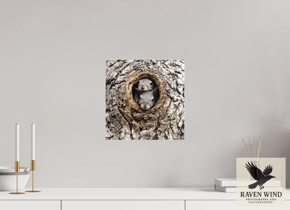 Raven Wind Photography & Illustrations-Curious Peek Fine Art Wildlife Photography Print -