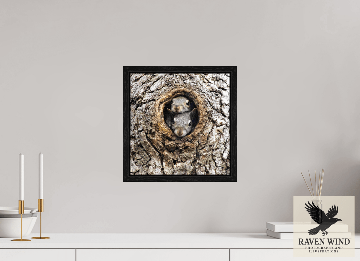 Raven Wind Photography & Illustrations-Curious Peek Fine Art Wildlife Photography Print -