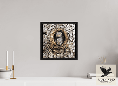 Raven Wind Photography & Illustrations-Curious Peek Fine Art Wildlife Photography Print -