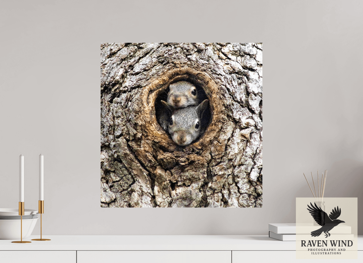 Raven Wind Photography & Illustrations-Curious Peek Fine Art Wildlife Photography Print -