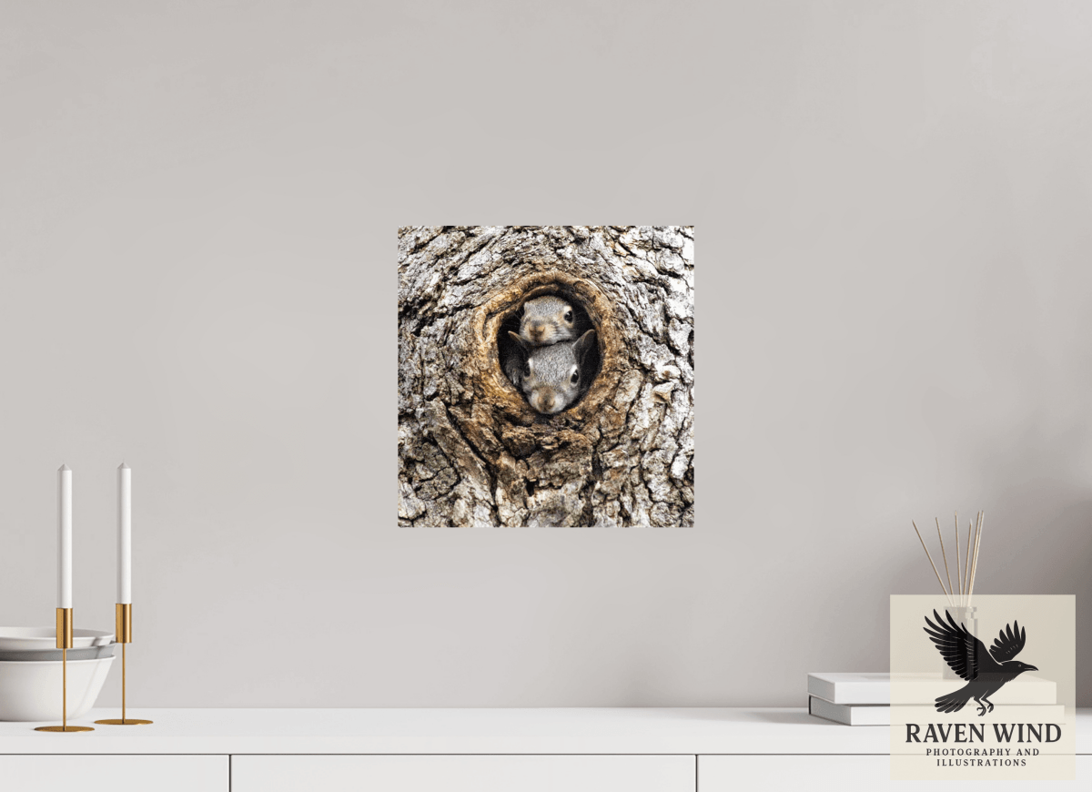 Raven Wind Photography & Illustrations-Curious Peek Fine Art Wildlife Photography Print -