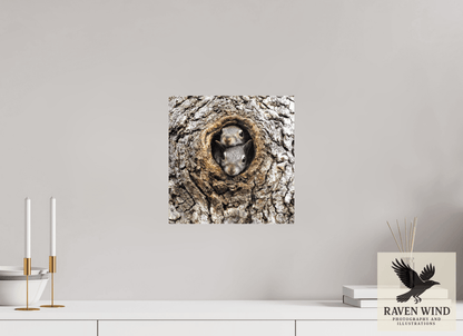 Raven Wind Photography & Illustrations-Curious Peek Fine Art Wildlife Photography Print -